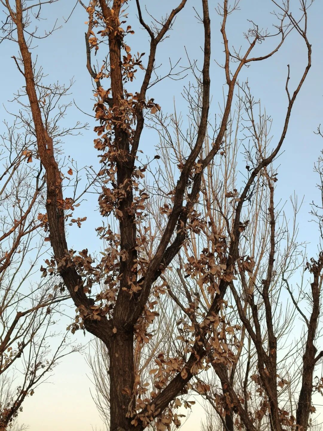 我与我，不重逢