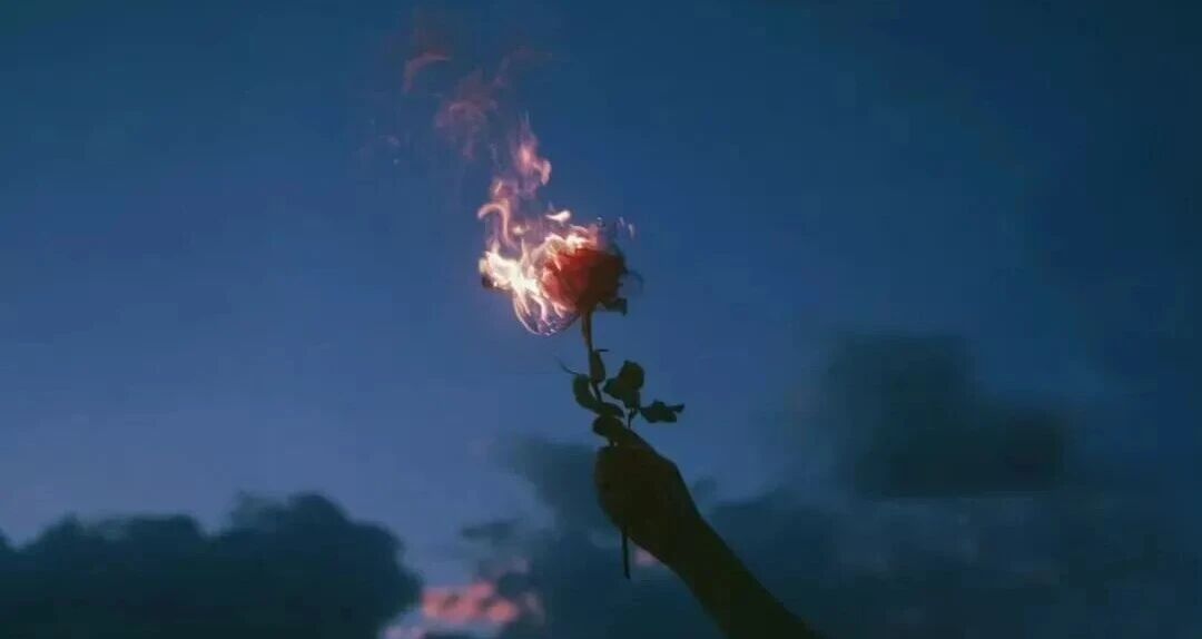 我掏空了情绪，还是不够真实